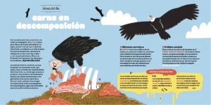 Animales-puaj_0002