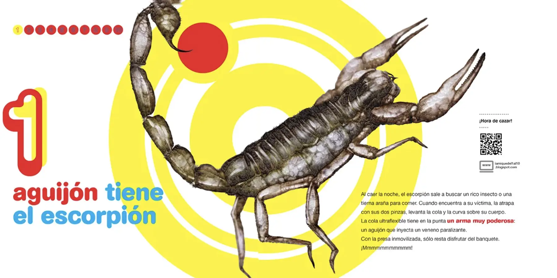 Bichos-del1al10_0002