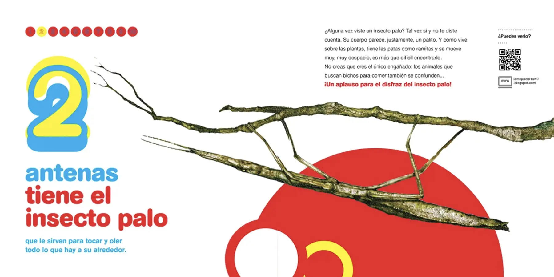 Bichos-del1al10_0003