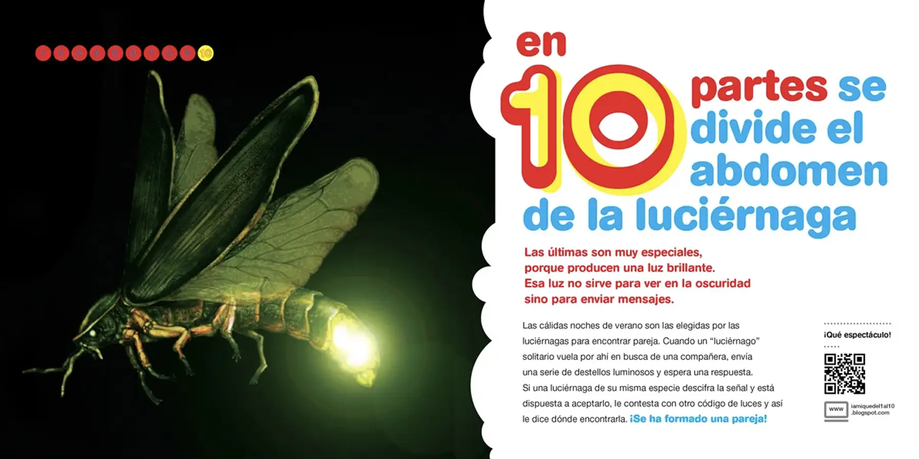 Bichos-del1al10_0004