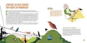 Ciencia-primavera_0004