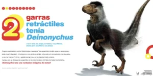 Dinosaurios-1al10_0003