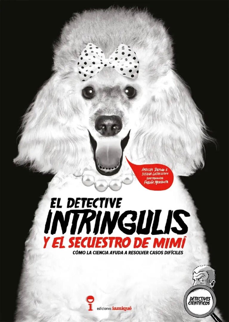 El-detective-intringulis-y-el-robo-de-mimi-tapa