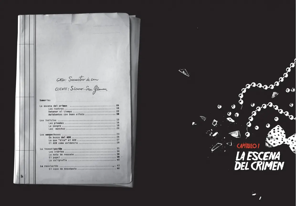 El-detective-intringulis-y-el-robo-de-mimi_0001