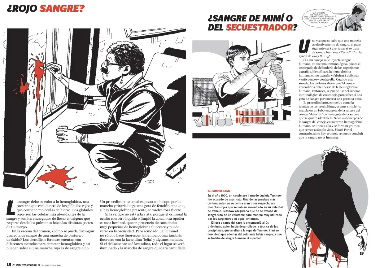 El-detective-intringulis-y-el-robo-de-mimi_0004