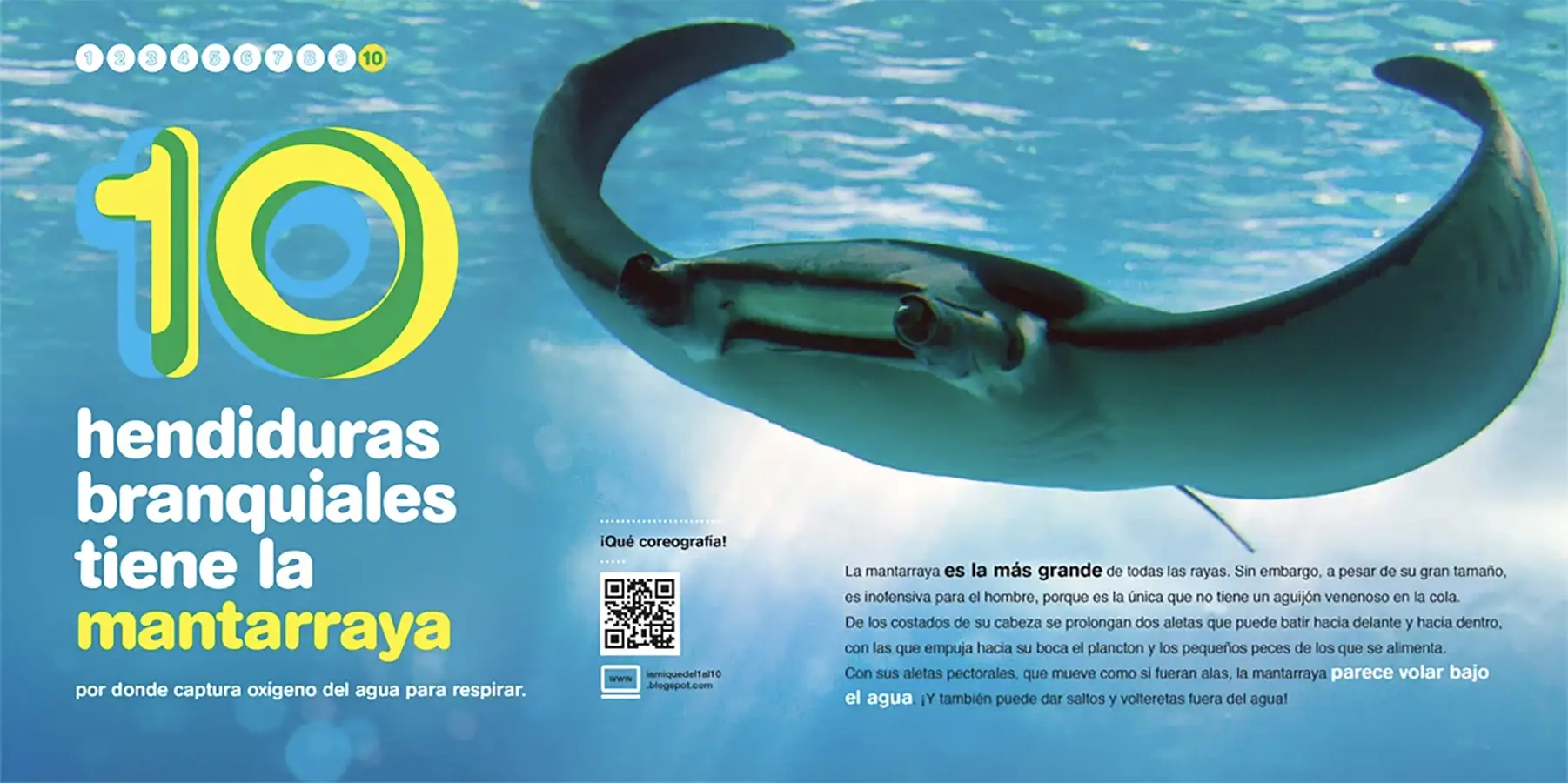 Habitantes-del-mar-del1al10_0004