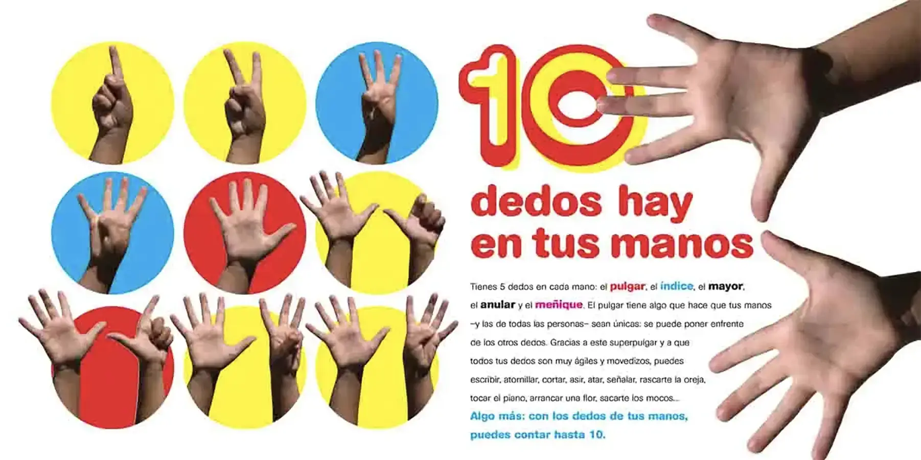 Tu-cuerpo-del1al10_0004