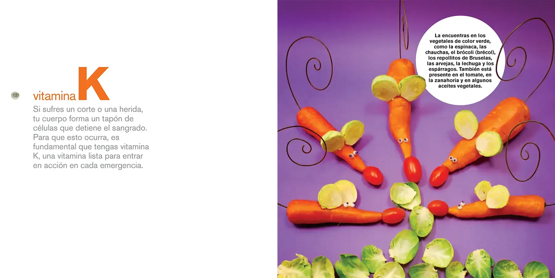 Vitaminas-donde-estas_0003