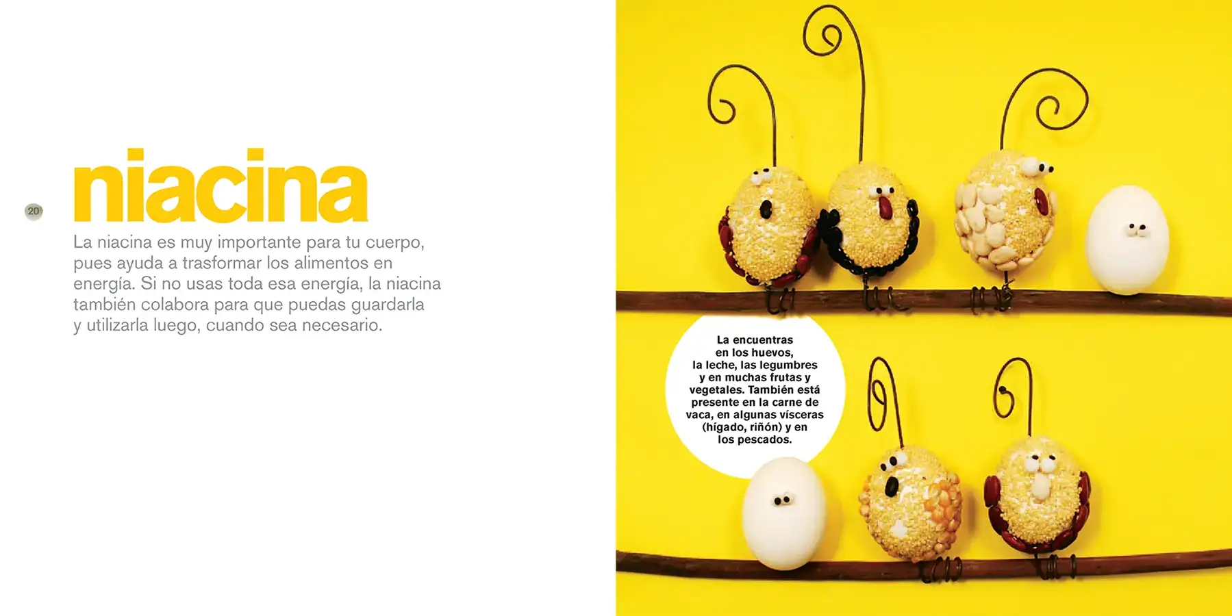 Vitaminas-donde-estas_0004