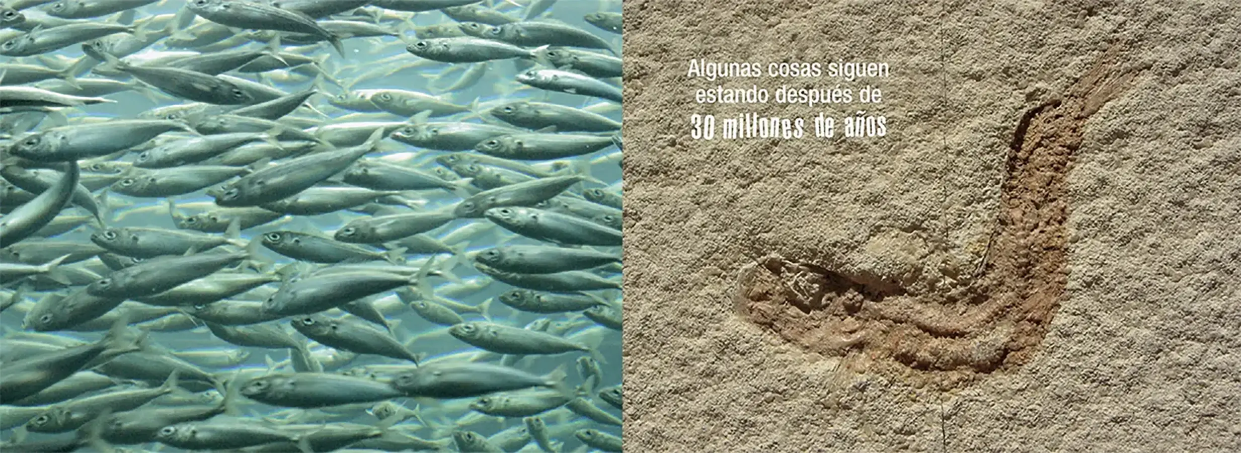 que-es-el-tiempo_0004